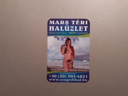 Hungary, card calendar - female nude 2021