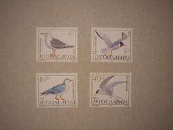 Fauna of Yugoslavia, birds 1984