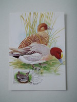 1988. Ducks postcard series - cm - complete set of 5 pieces