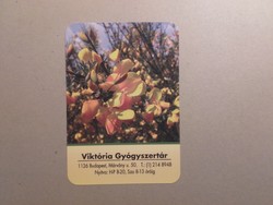 Hungary, card calendar - Budapest, Victoria Pharmacy 2017