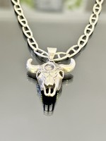 Cool silver necklace and pendant (bison skull)