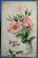 Antique art nouveau embossed greeting card wild rose