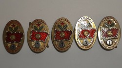 The mnh leading student, soldier, platoon commander, battalion commander, platoon commander badge