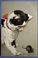 Antik dombornyomott litho képeslap egerésző cica