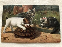Antik, régi cicás, kutyusos képeslap - Postatiszta               -7.