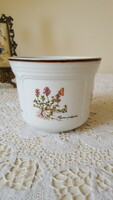 Botanical ceramic bowl decorated with medicinal plants around