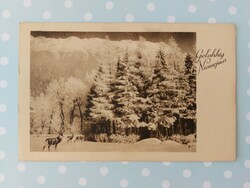 Old postcard New Year postcard deer snowy landscape