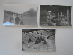 D198576 old photos (3 pcs) - beech - bánkút - large-field forest dwelling 1960-70