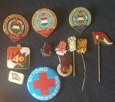 12 pioneer badges