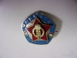 Volunteer police badge