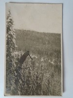 D198871 Kőszeg skier - ski photo sheet 1936 ivan jánosné balatofüred