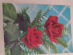 3 dimensional rose postcard