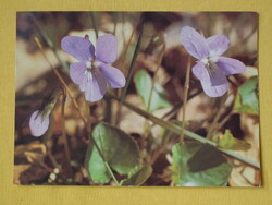 Running postcards with flowers, 7 pieces - according to the photos /06/