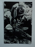 Used postcards with flowers, 10 pieces - according to the photos /11/