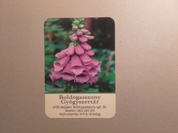 Hungary, card calendar - Szeged, boldosszony pharmacy 2021