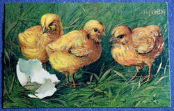 Antique gold pressed Easter greeting card chicks from 1907