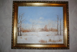 Attila Ferencsák's winter landscape