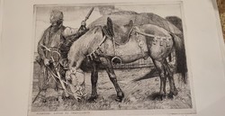 Veszprémi Endre: avar kori lovas és fegyverzete