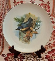 Cuszka decorative porcelain plate with birds (l4183)