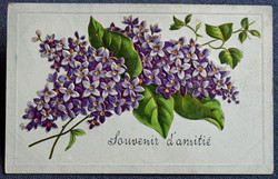 Antique embossed greeting litho postcard - lilac from 1907