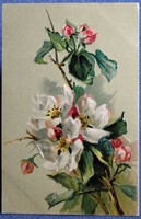 Antique embossed marked artist postcard - blooming apple tree