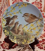 Madaras porcelain plate, English decorative plate (l4181)