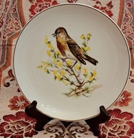Bird porcelain plate, decorative plate 3 (l4184)