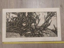 Károly Raszler: willow trees, etching