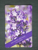 Card calendar, lady mistletoe, pharmacy, pharmacy, Tamási, flower, lavender, 2017