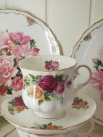 English rose bone china cup and saucer