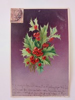 Old Christmas card postcard holly branch