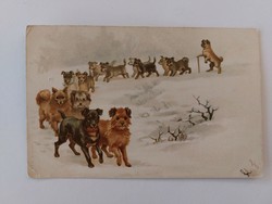 Régi képeslap levelezőlap kutyák