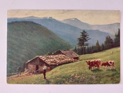 Old postcard 1916 postcard spring landscape