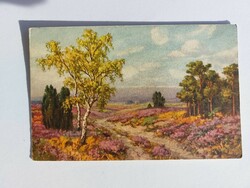 Old postcard art postcard landscape