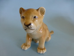 Royal dux lion, lion cub