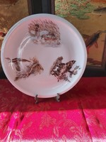 Alföldi porcelán tányér vadász mintával