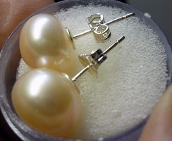 925 ezüst fülbevaló Akoya tenyésztett gyöngy 11 mm