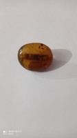 Amber pin old brooch