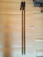 Old ski pole hiking pole