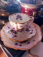 Biedermeier porcelain tea set with violet motif