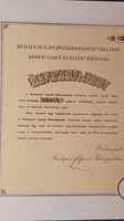 Budapest Újpest Rákospalotai Villamos Közúti Vasút Rt. élvezeti-jegy 200 korona 1924.