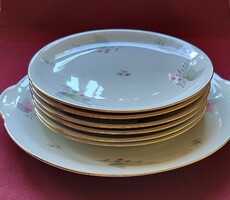 Eschenbach Bavarian German porcelain cake set small plate plate serving bowl with gold edge