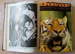 Búvár magazin, kötve ( 1969 és 1971 évfolyamok )