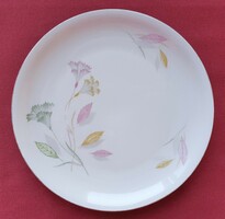 Hutschenreuther arzberg Bavarian German porcelain small plate cookie plate with flower pattern