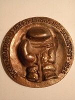 European boxing championship plaque