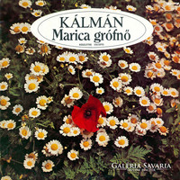 Imre Kálmán* – Countess Marica vinyl record