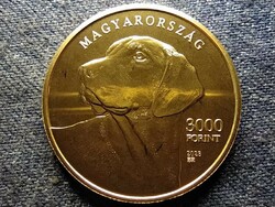 Magyarország Erdélyi kopó 3000 Forint 2023 BP PL (id81167)