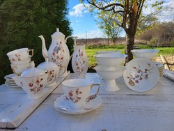 Gorgeous Rare Hand Painted Elegant Lithuanian Jiesia Porcelain Coffee Set Ice Cream Cups Vase