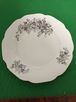 1 violet plate