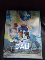 Salvador Dalí -- surrealism art album - rare.